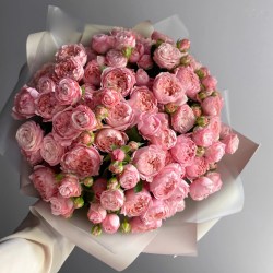 orig (4)17